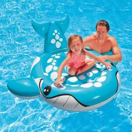 Bashful the Blue & White Whale.jpg