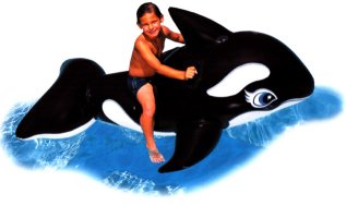 Bashful the Blue & White Whale.jpg