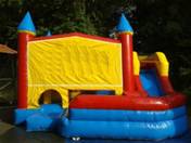 Splash Down Dolphin Slide
