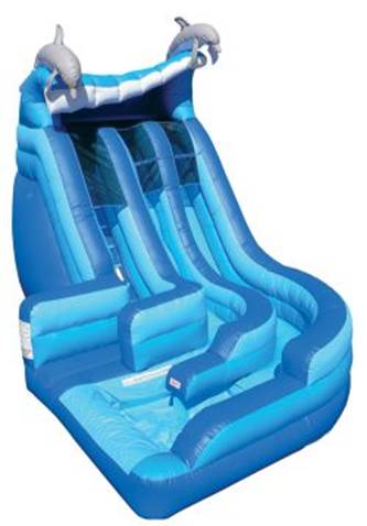 Curved Dolphin Slide.jpg