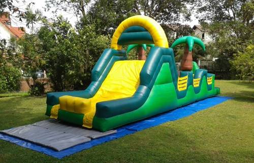 Survivor Jnr (slide end).jpg